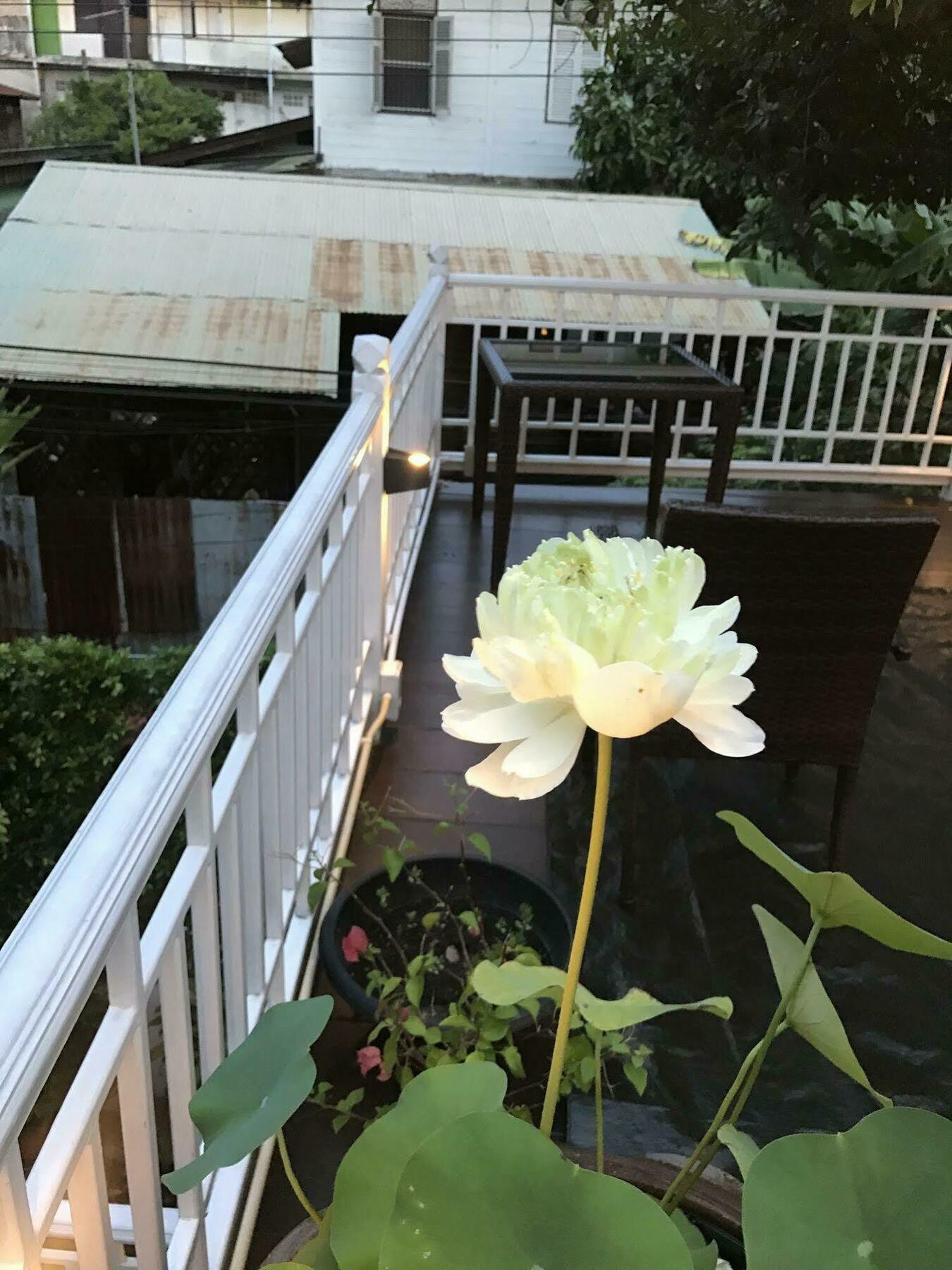 Baankachitpan Bangkok Hotel Ngoại thất bức ảnh